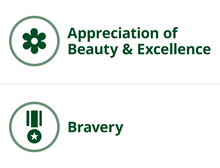 Load image into Gallery viewer, P2 Word Wall Kit